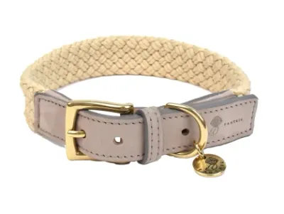 Collier chien Tau gris Fantail