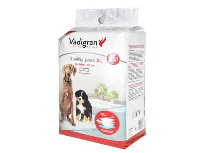 Tapis d’apprentissage chien 60x90cm