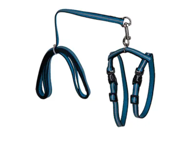 Vadigran Reflect Harnas + Leiband Kat Blauw