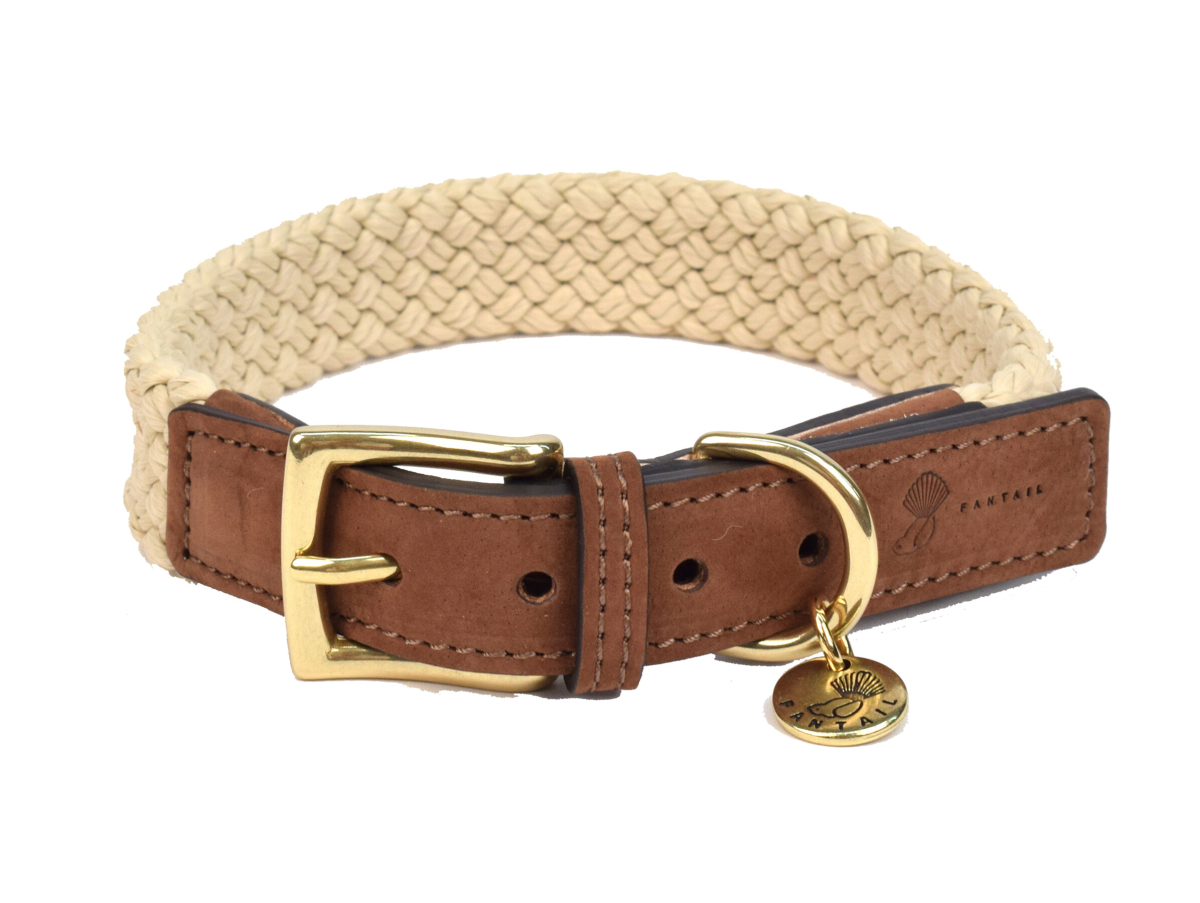 Hond met premium leren halsband wandelt in de natuur - Fantail Nubu collectie bij Bopets