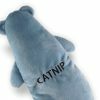 Speelgoed kat pluche Billy de beer met catnip 35cm