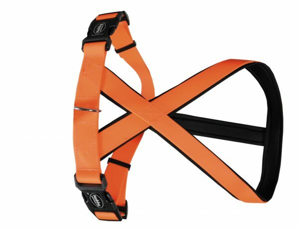 Harnas hond Biothane oranje 25mmx40-60cm