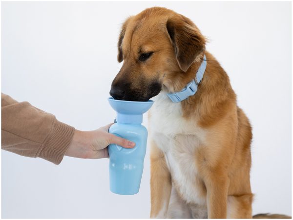 Reisfles Classic blauw 0,65 L